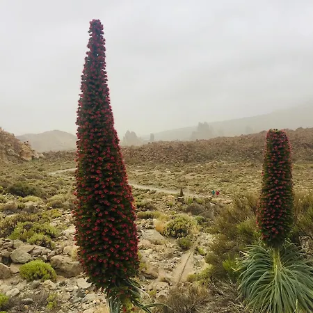 Casa Antonio - Luna Apartment Playa San Juan